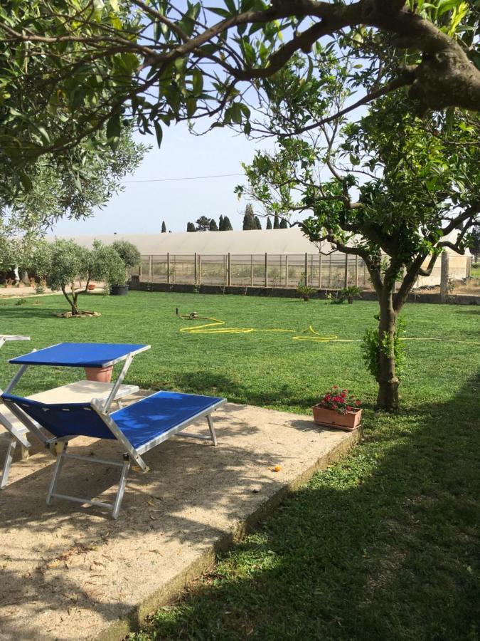 Villa Daniele Borgo Montenero Exterior foto